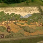 land-art-painting-field-van-gogh-olive-trees-stan-herd-12
