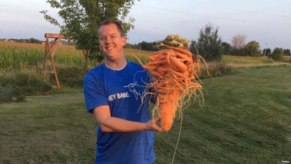 کشاورز اهل مینه‌سوتا رکورد پرورش بزرگترین هویج دنیا را زد