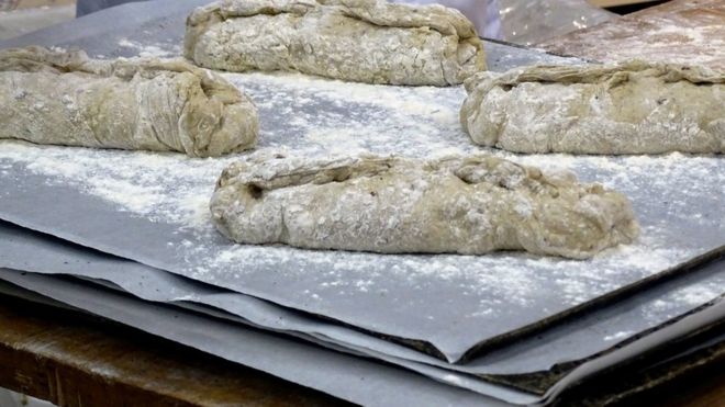 فنلاند فروش نان آرد جیرجیرک را آغاز کرد