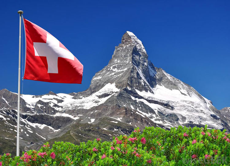 رازهای مدیریت در یک شرکت سوئیسی چیست؟